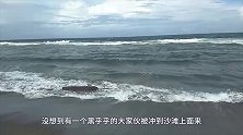 女子在海边散步，突然看见一块“怪异石头”凑近一看吓得当场报警