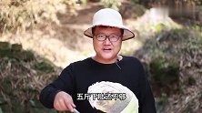 阿米秘制田螺，整整五斤的香辣田螺，一边喝酒一边吃真美味