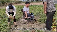 小伙腿残心不残，坐着轮椅帮邻居干农活，不愧是教科书般的典范！
