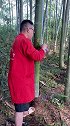 抽酒，抽油，抽水，抽尿素神器，只需轻轻按压几下就可以了工具导流管大自然