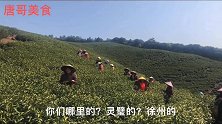 徐州宿州阿姨们在浙江安吉采茶135元一天，看看她们都吃什么饭