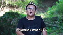 四川名菜“棒棒鸡”敲出来的美食，鸡肉嫩滑不散有技巧，真解馋