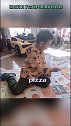 谢杏芳儿子给小玩偶讲课，小家伙英语说得好棒！
