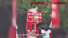安徽一套圈摊位大鹅因“摇头晃脑”躲圈走红，业内人士：曾有人出一万块买鹅老板都不卖
