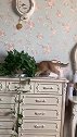 猫：吓死我了，差点把铲屎官的化妆品给摔坏了！