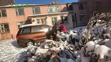 东北天寒地冻，大厨用窍门做一锅秘制猪心，香辣可口无腥味