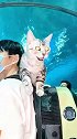 带着猫咪第一次去海底世界，猫咪整个都迷茫了，仿佛在说先吃那个！