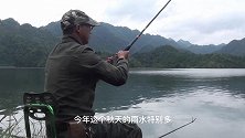 大雨过后水位暴涨，钓位变的稀罕了，两尾大个体的重唇鱼成了亮点