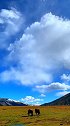 龙灯草原的个人一种很安静的感觉草原系列龙灯草原