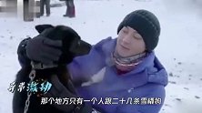 黄子韬被雪橇狗亲完臭到打了一套拳，徐志胜辣评-你这是打碟吧