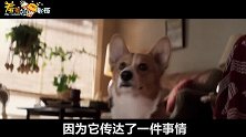 【羞羞的影评232】2017电影年度佳片Top10