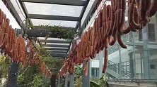 壕气冲天！50米走廊挂2000斤香肠 网友：家里有矿啊