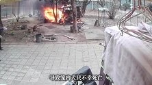 男童点火烧死萨摩耶，家属发声：两家共赔付6000元