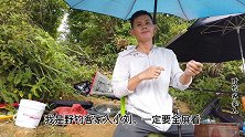 分享实战钓鱼技巧，饵料快速到底的钓法，还能防走水哦