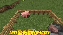 MC超无聊MOD，可以用桶抓小粉猪，还修建了末地直通车