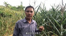 烈日下的农民工，有多少人能体会这种生活？