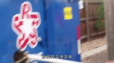 “无孔不入”浣熊，就这样被卡在了井盖里，它是怎么进去的