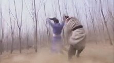 神医传奇：狗宝遭挟持，半夏以一敌十武力爆表