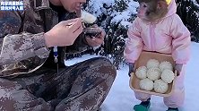 铲屎的你“欺人太甚”，东西坏了你就修，为啥让我在这把着它！