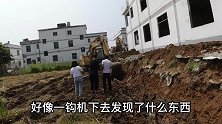 房子旁边挖基脚，没想到一钩机下去挖到一条长长的生物，不敢动