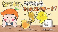 食品有意思：植物油好，动物油香，到底选哪一个？