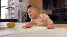 小宝宝啃玉米，画面太可爱了！宝宝：“太重了拿不动啊！”