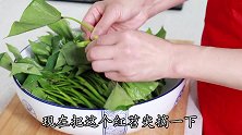 红苕尖不要炒来吃了，教你最好吃的做法，麻辣鲜香，配稀饭太香了
