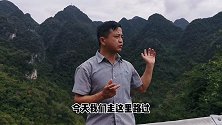 反季节的野生金银花你见过吗？在这深山之中意外发现，可珍贵了！