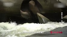 味道：河里刚捞的小杂鱼，生姜去腥白水煮熟，最原始的鲜让人难忘