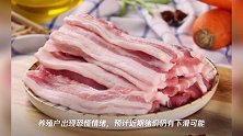 11月27日猪价最新消息:华北、东北集体飘绿!中南六省禁运这么可怕