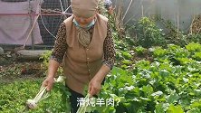 新疆奶奶的清炖羊肉，院子里的恰玛古和萝卜炖羊娃子肉，鲜嫩多汁