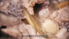 【宋·四神汤】源自宋朝药典的著名健脾养颜食方