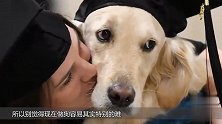 这年头连狗都得考学了？国外一只狗 被颁发硕士学位！