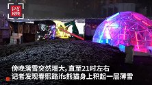 大雪纷飞！成都IFS熊猫身上积起一层薄雪 游客合影留恋