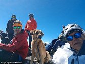 墨西哥一只流浪狗在5600米山顶生活近1月 被登山者救下山