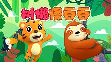 贝乐虎动物音乐派对 11 树懒慢吞吞