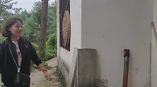 秋妹儿今天不下馆子，炒一大盘蛋炒饭，隔壁邻居眼神怪怪的