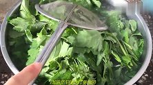 入夏以后，遇到这野菜别手软，用来做这美食比饺子香，天天吃不腻