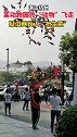 杭州某动物园外抢生意动物气球飞满天 气球：你们吵吧，我们飞了