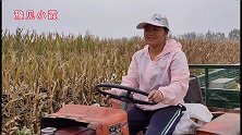 农村媳妇第一次开拖拉机拉玉米，上车猛踩油门就走，真溜像老司机