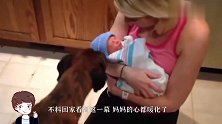 妈妈去上班，让狗狗照顾宝宝，不料回家看到这一幕妈妈心都暖化了