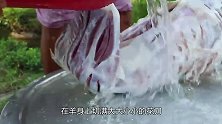 印度大哥用淤泥包住整头羊，放在火上烧2小时，用手一撕口水直流
