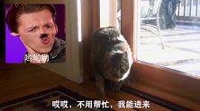 不用帮忙，门开的再小我都能进来，怎么着也不能丢液体猫的脸