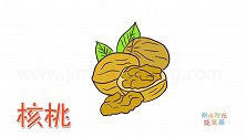 水果简笔画大全，画核桃简笔画