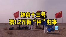 神舟十三号凯旋！携带上万颗太空种子，会给我们的生活带来啥？