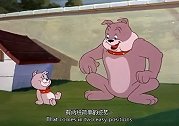 猫和老鼠：小犬显威