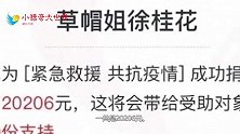 星光大道草帽姐高调晒捐款单，看到金额后，网友表示没毛病