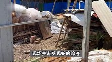 南宁一非法养蛇场疑逃出大量眼镜蛇，官方：共养600余条，10条左右外逃