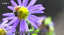红糖加一宝，强过“泻药”，常吃便秘口臭消得快，腰也瘦下来
