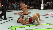 UFC-18年-格斗之夜130：次中量级 席尔瓦VS塔勒布-单场